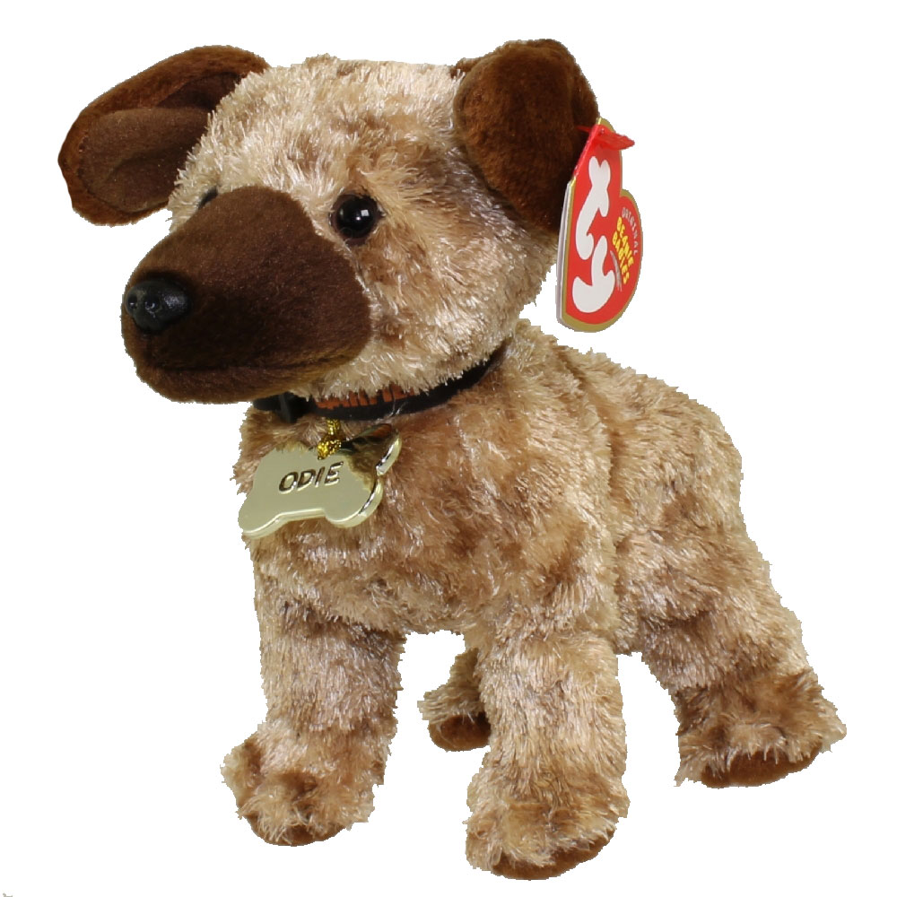 beanie dogs