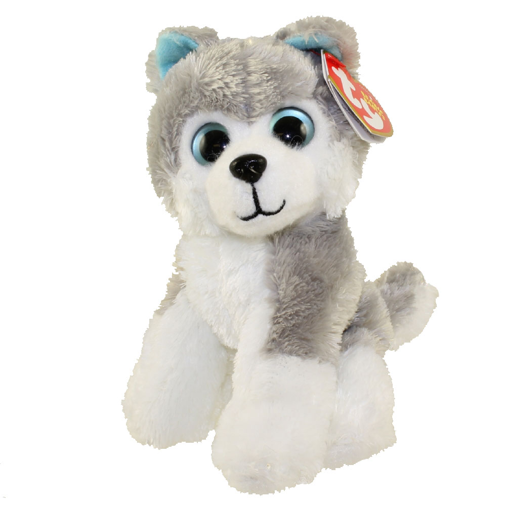 big eye teddy