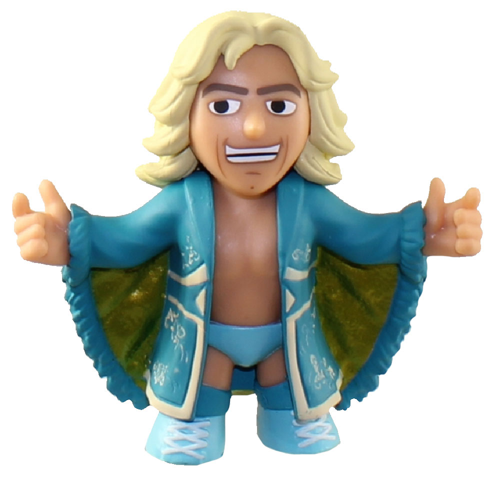 wwe mystery minis series 1