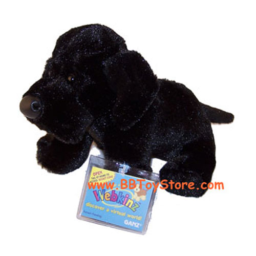 black lab webkinz