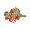 TY Beanie Baby - STEG the Dinosaur (3rd Gen Hang Tag) (Mint)