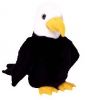 TY Beanie Buddy - BALDY the Eagle (10 inch) (Mint)
