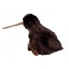 TY Beanie Buddy - BEAK the Kiwi Bird (7.5 inch) (Mint)