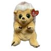 TY Beanie Buddy (Beanie Bellies) - BUMPER the Hedgehog (9 inch) (Mint)