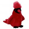 TY Beanie Buddy - CARDINAL the Bird ( Mac ) (8.5 inch) (Mint)