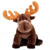 TY Beanie Buddy - CHOCOLATE the Moose (10 inch) (Mint)