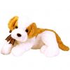 TY Beanie Buddy - DARLING the Dog (11 inch) (Mint)