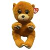 TY Beanie Buddy (Beanie Bellies) - DUNCAN the Brown Bear (10 inch) (Mint)