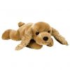 TY Beanie Buddy - SPUNKY the Dog (13 inch) (Mint)