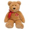 TY Beanie Buddy - TRUE the Bear (14 inch - Mint)