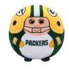 TY NFL Beanie Ballz - GREEN BAY PACKERS (Regular Size - 5 inch) (Mint)