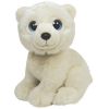 TY Classic Plush - Wild Wild Best - ICEBERG the Polar Bear (10 inch) (Mint)