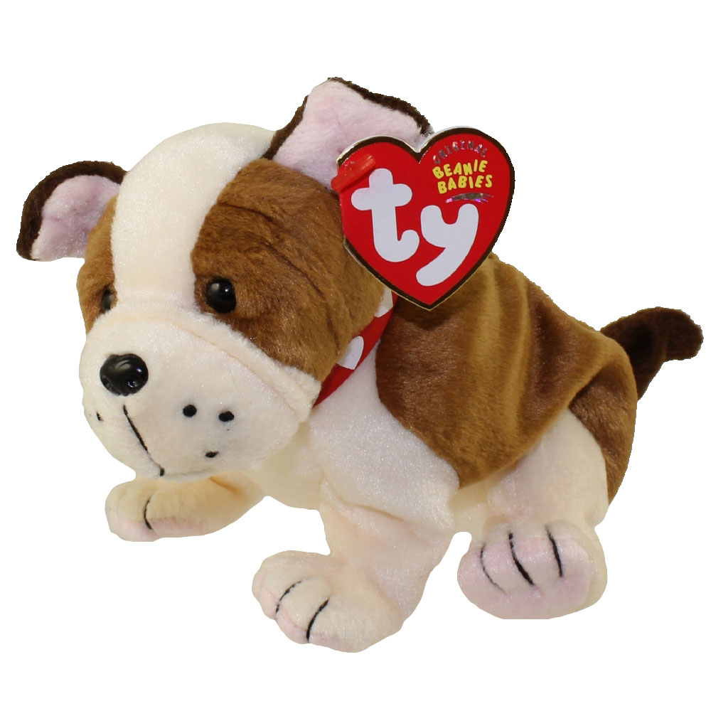 beanie dogs