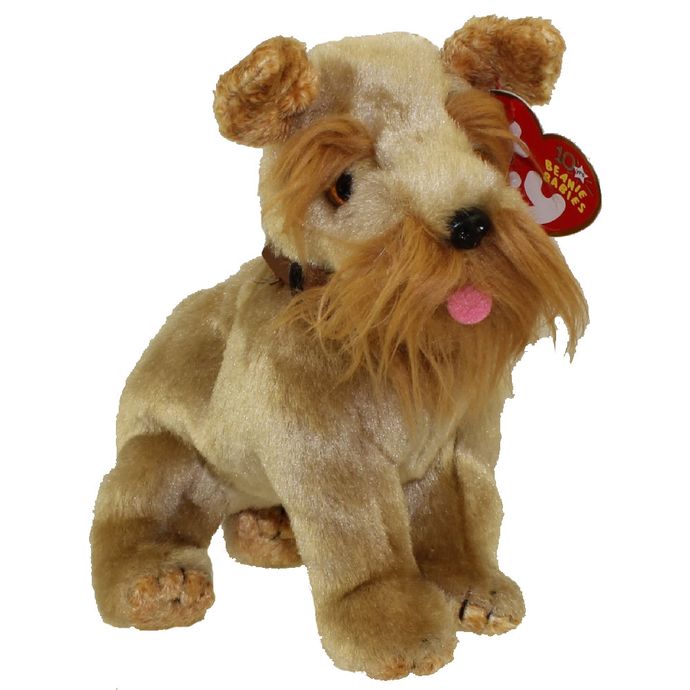 beanie dogs