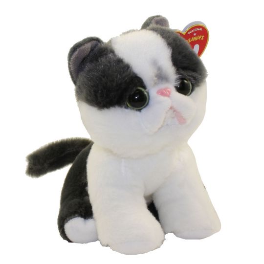 ty plush cat