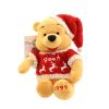 Disney Bean Bag Plush - WINTER SWEATER POOH (Winnie the Pooh) (10 inch) (Mint)