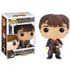 Funko POP! Harry Potter Vinyl Figure - Series 2 - NEVILLE LONGBOTTOM #22 (Mint)