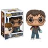Funko POP! Harry Potter Vinyl Figure - Series 4 - HARRY POTTER with Prophecy #32 (Mint)