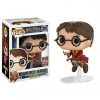 Funko POP! Harry Potter Vinyl Figure - HARRY POTTER ON BROOM #31 (Mint)
