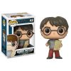 Funko POP! Harry Potter Vinyl Figure - Series 5 - HARRY POTTER with Marauders Map (Mint)