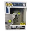 Funko POP! Harry Potter Vinyl Figure - REMUS LUPIN AS WEREWOLF #49 *Exclusive* (Mint)