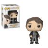 Funko POP! Harry Potter Vinyl Figure - Series 7 - TOM RIDDLE (Mint)