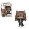 Funko POP! Harry Potter S8 Vinyl Figure - HERMIONE GRANGER as Cat #77 (Mint)