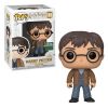 Funko POP! Movies - Harry Potter Vinyl Figure - HARRY POTTER (Two Wands) #118 (Mint)