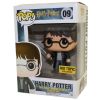 Funko POP! Harry Potter Vinyl Figure - HARRY POTTER with Sword #09 *Exclusive* (Mint)