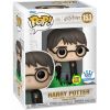 Funko POP! Harry Potter Vinyl Figure - HARRY POTTER (Floo Powder) #153 (Glow in Dark) *Exclusive* (M