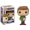 Funko POP! Television - Scooby Doo Vinyl Figure - SHAGGY (Mint)