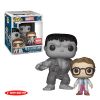Funko POP! Marvel Collector Corps Vinyl Bobble Set - THE HULK & BRUCE BANNER #284 (Mint)