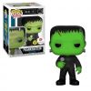 Funko POP! Vinyl Figure - Frankenstein (Glow in the Dark) (Mint)