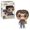 Funko POP! Vinyl Figure - Harry Potter (Holiday) (Mint)