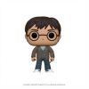 Funko POP! Vinyl Figure - Harry Potter with Two Wands (Mint)