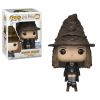 Funko POP! Vinyl Figure - Hermione Granger (Sorting Hat) (Fall Convention) (Mint)