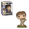 Funko POP! Vinyl Figure - Luke Skywalker & Yoda (Mint)