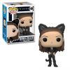 Funko POP! Vinyl Figure - Monica Geller (Cat) (Mint)