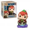 Funko POP! Vinyl Figure - Peter Pan at the Peter Pan's Flight Attraction (Mint)