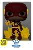 Funko POP! Vinyl Figure - The Flash (Glow In The Dark) (Mint)