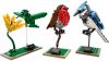LEGO - Birds 21301 - (New & Sealed)