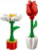 LEGO - Flower Display 40187 - (New & Sealed)