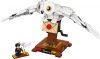 LEGO - Hedwig 75979 - (New & Sealed)