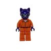 LEGO Minifigure - The LEGO Batman Movie - CATWOMAN (Arkham Prison Jumpsuit) (Mint)