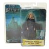 NECA Harry Potter Action Figure - Order of the Phoenix Series 1 - HERMIONE GRANGER (7 inch) (Mint)