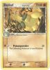 Pokemon Card - Dragon Frontiers 26/101 - BAYLEEF (uncommon) (Mint)