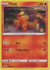 Pokemon Card - S&S Promo #SWSH172 - TEPIG (holo-foil) (Mint)