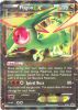 Pokemon Card - XY Promo #XY61 - FLYGON EX (holo-foil) (JUMBO Size - 8 inch) (Mint)