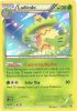 Pokemon Card - XY: Primal Clash 12/160 - LUDICOLO (holo-foil) (Mint)