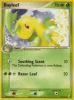 Pokemon Card - Unseen Forces 35/115 - BAYLEEF (uncommon) (Mint)